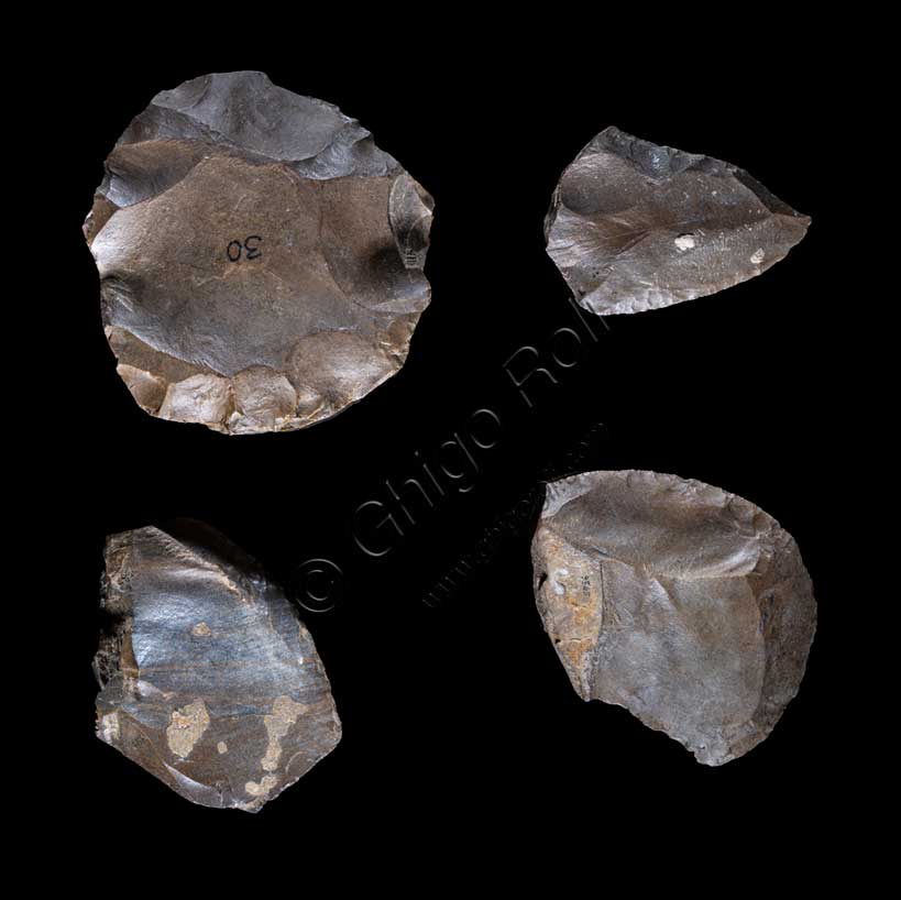 Museo Civico Archeologico di Bologna:schegge e nuclei tecnica Levallois.  Da Pizzocalvo Podere Due Pozzi.Inv. 9565, 9567, 9559 + un altro oggetto