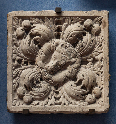 Museo Stefano Bardini, la chiostrina: formella decorativa in marmo di Carrara, che rappresenta il toro (simbolo di S. Luca),  produzione genovese, seconda metà del XIII secolo.