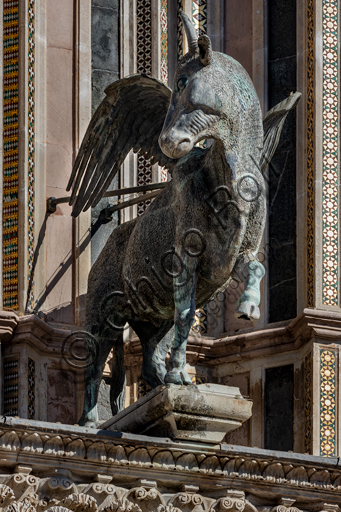 Orvieto, Basilica Cattedrale di Santa Maria Assunta (o Duomo), la facciata,  una delle quattro statue in bronzo che rappresentano gli Evangelisti, realizzate da Lorenzo Maitani nel 1329 - 1330: Il toro, simbolo di San Luca. 
