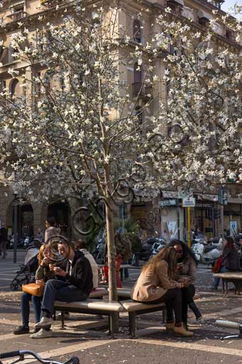 Padova, centro storico: persone sedute su una panchina sotto un albero fiorito.