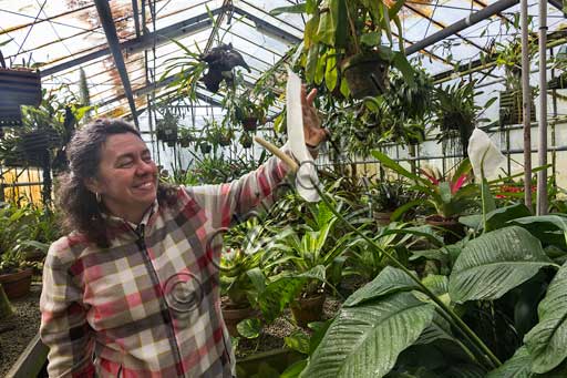 Padova, l'Orto Botanico: la d.ssa Maria Cristina Villani, botanico dell'Orto, nella serra tropicale.