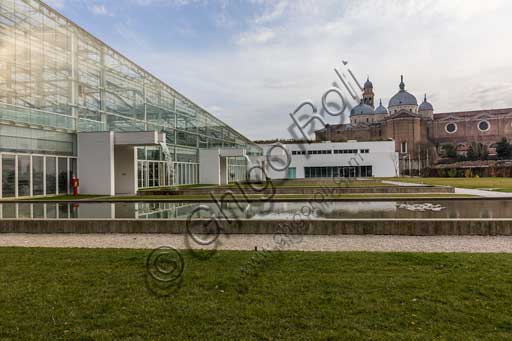 Padova, l'Orto Botanico: la grande serra del Giardino della Biodiversità. Sullo sfondo, la Basilica di S. Giustina.