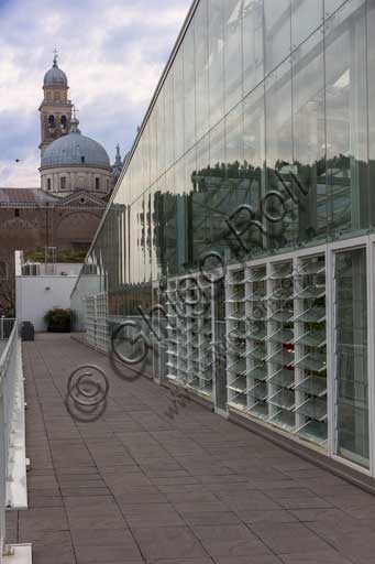   Padova, the Botanical Garden: the big greenhouse of the Garden of Biodiversity.  In the background, the Basilica of St. Giustina.