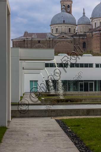 Padova, l'Orto Botanico: la grande serra del Giardino della Biodiversità. Sullo sfondo, la Basilica di S. Giustina.