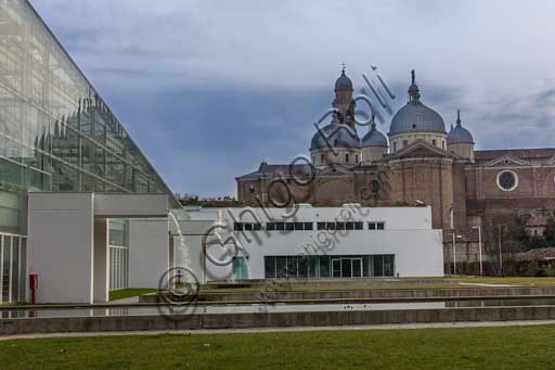 Padova, l'Orto Botanico: la grande serra del Giardino della Biodiversità. Sullo sfondo, la Basilica di S. Giustina.