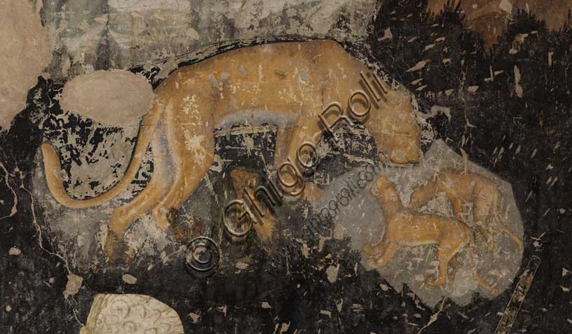 Palazzo Ducale, sala del Pisanello, parete sud-est: “Torneo-battaglia di Louvezerp”,  1430-1433, di Antonio di Puccio, detto il Pisanello. pittura murale strappata, tecnica mista.  Il soggetto è tratto da “Le roman en prose de Tristan”, capolavoro della letteratura cavalleresca.Particolare con leonessa e due cuccioli. 