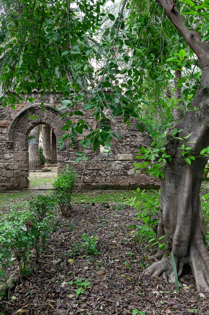 Palermo, Orto Botanico: ruderi della chiesa in stile gotico chiaramontano di San Dionisio (sec. XIV).