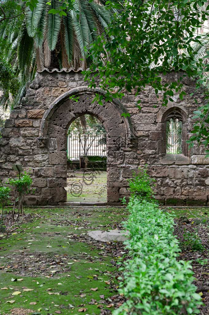 Palermo, Orto Botanico: ruderi della chiesa in stile gotico chiaramontano di San Dionisio (sec. XIV).