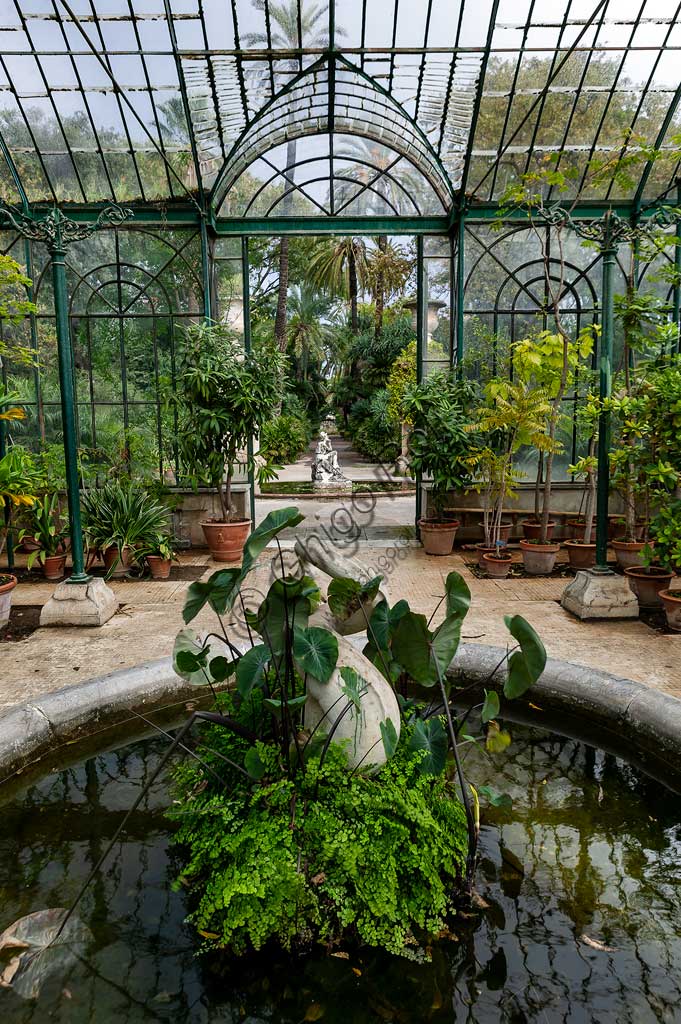 Palermo, Orto Botanico: scorcio di una serra.