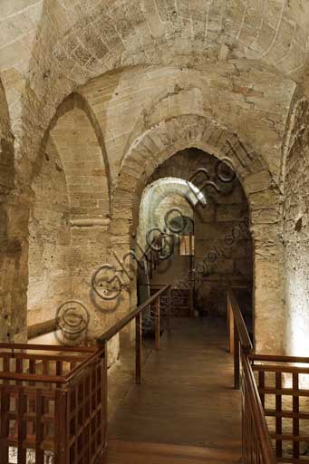 Palermo, The Royal Palace or Palazzo dei Normanni (Palace of the Normans), the Montalto wing: the dungeons.