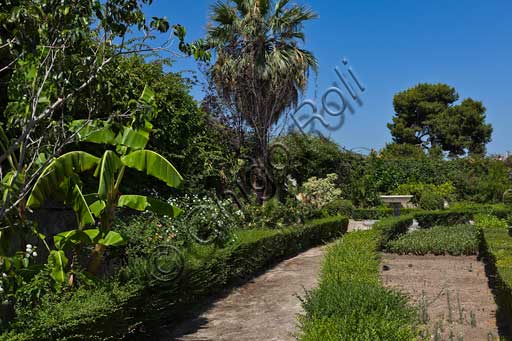 Palermo, Palazzo Reale o Palazzo dei Normanni, lato sud ovest, i giardini del Bastione di San Pietro: alberi (palme, ecc) e piante.