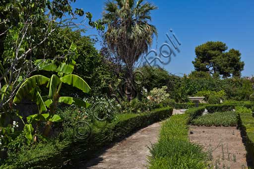 Palermo, The Royal Palace or Palazzo dei Normanni (Palace of the Normans), the South West side, the gardens of the St. Peter Bastion: trees (palm trees, etc) and plants.