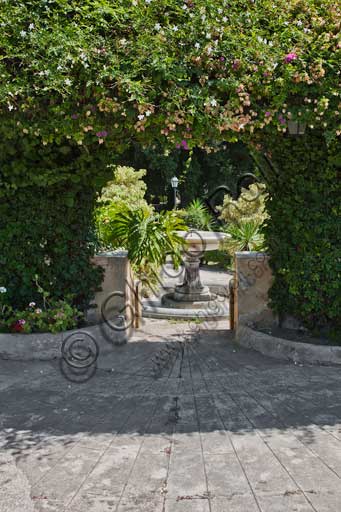 Palermo, The Royal Palace or Palazzo dei Normanni (Palace of the Normans), the South West side, the gardens of the St. Peter Bastion: passage in a hedge.