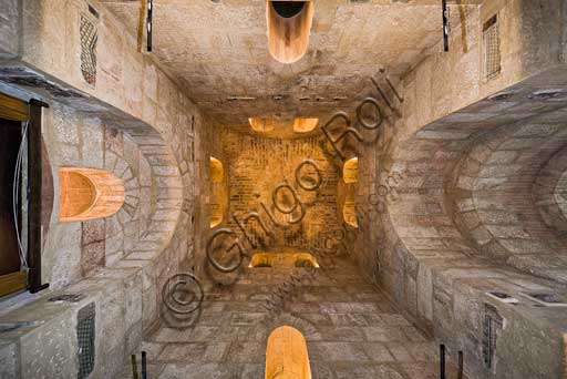 Palermo, The Royal Palace or Palazzo dei Normanni (Palace of the Normans), The Pisana Tower, The Representation Hall of the Presidency: zenithal view of the vault.