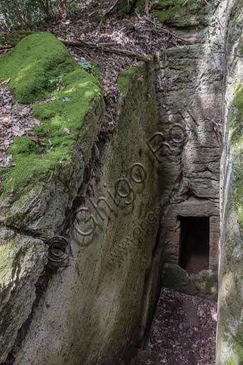  The Archaeological Park of Baratti and Populonia, Necropolis of St. Cerbone in Baratti, Via delle Cave (the Road of the Quarries): a hypogeum Etruscan tomb.