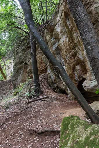  The Archaeological Park of Baratti and Populonia, Necropolis of St. Cerbone in Baratti, Via delle Cave (the Road of the Quarries): Hollow of the small quarry.