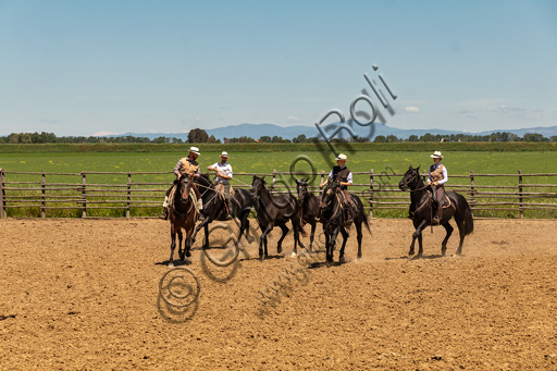 Parco Regionale della Maremma: butteri a cavallo e due puledri.