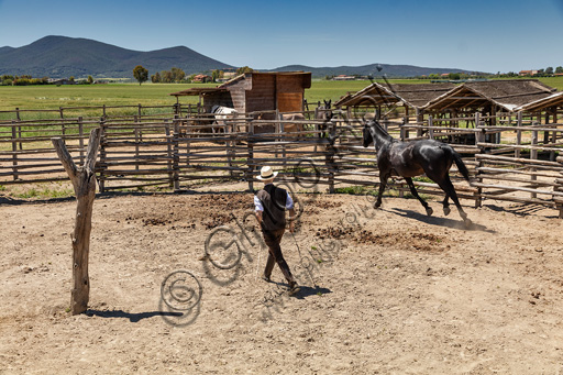 Regional Park of Maremma,