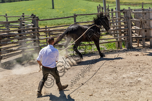 Regional Park of Maremma,