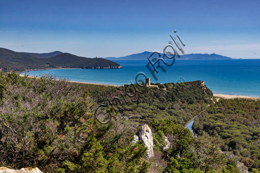 Parco Regionale della Maremma: da sinistra, veduta di Cala Forno, della Torre e della spiaggia di Collelungo e del Canale Scoglietto.  Sullo sfondo, il promontorio dell'Argentario.