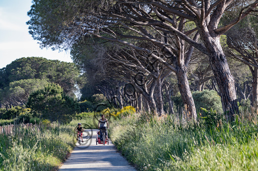 Parco Regionale della Maremma: la ciclabile di Pianottolai.