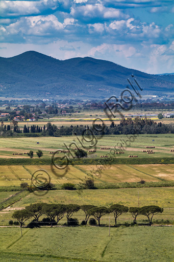 Parco Regionale della Maremma: la piana del fiume Ombrone.