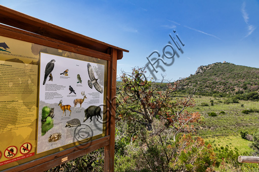 Parco Regionale della Maremma: pannello informativo sulla fauna del Parco.
