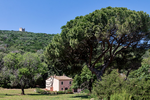 Parco Regionale della Maremma, Tenuta di Cala Forno: la Casina Rosa. Sullo sfondo, la torre di avvistamento.