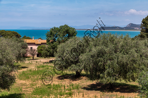 Regional Park of Maremma,