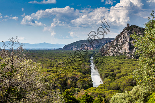 Parco Regionale della Maremma: veduta del canale Scoglietto che attraversa la Pineta Granducale. Sullo sfondo a destra, la Torre di Castel Marino.