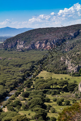 Regional Park of Maremma,