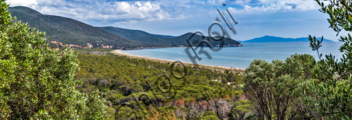 Parco Regionale della Maremma: veduta della spiaggia di Collelungo lambita dalla Pineta Granducale. Sullo sfondo, Cala Forno e il promontorio dell'Argentario.