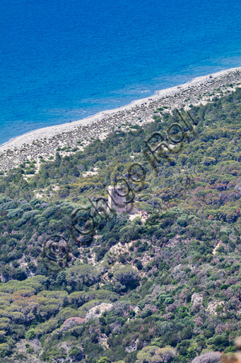 Parco Regionale della Maremma: veduta della spiaggia e della torre di Collelungo.