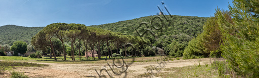 Parco Regionale della Maremma: veduta della Tenuta di Cala Forno. Al centro, la Casina Rosa. Sullo sfondo, la torre di avvistamento.