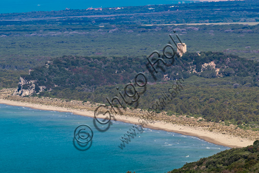 Parco Regionale della Maremma: veduta della torre e della spiaggia di Collelungo lambita dalla Pineta Granducale. 