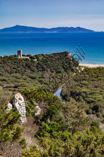 Parco Regionale della Maremma: veduta della Torre e della spiaggia di Collelungo e del Canale Scoglietto.  Sullo sfondo, il promontorio dell'Argentario.