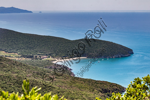 Parco Regionale della Maremma: veduta di Cala Forno.