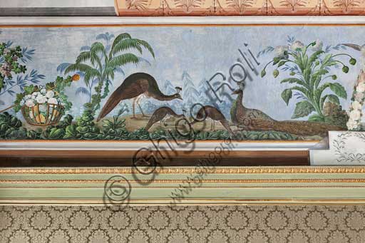 Palermo, Palazzo Reale o Palazzo dei Normanni, Appartamento Reale, Sala   degli Uccell, volta affrescata: dettaglio con pavoni e fiori.