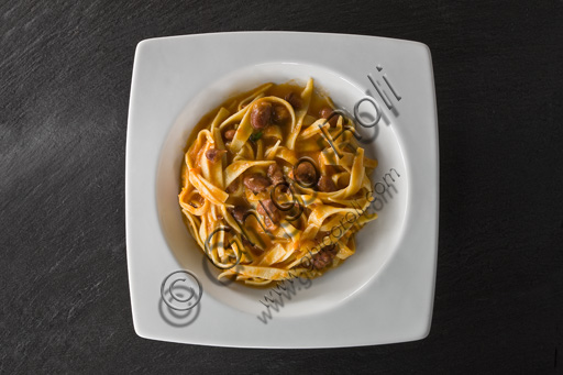  A plate of tagliatelle seasoned with ragout (Bolognese sauce).