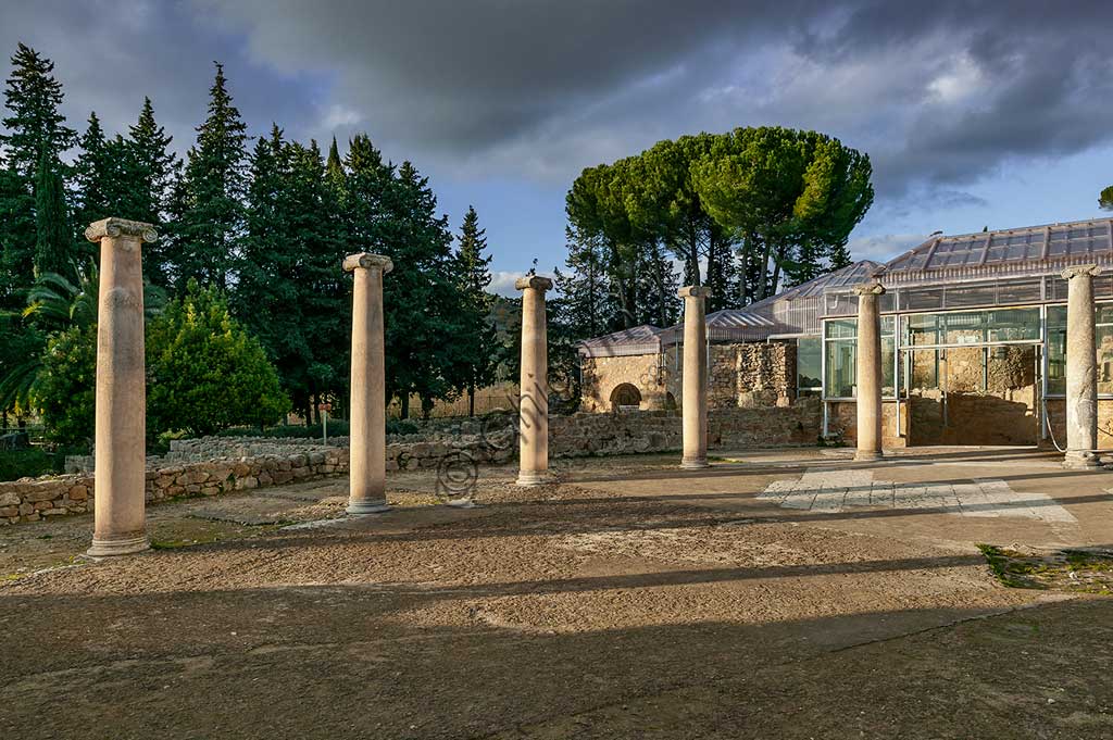 Piazza Armerina, Villa romana del Casale: veduta di colonne della villa, che probabilmente era palazzo imperiale urbano. Oggi è Patrimonio dell'umanità dell'UNESCO.