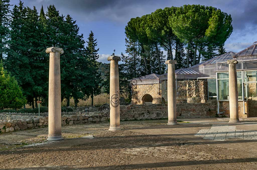 Piazza Armerina, Villa romana del Casale: veduta di colonne della villa, che probabilmente era palazzo imperiale urbano. Oggi è Patrimonio dell'umanità dell'UNESCO.