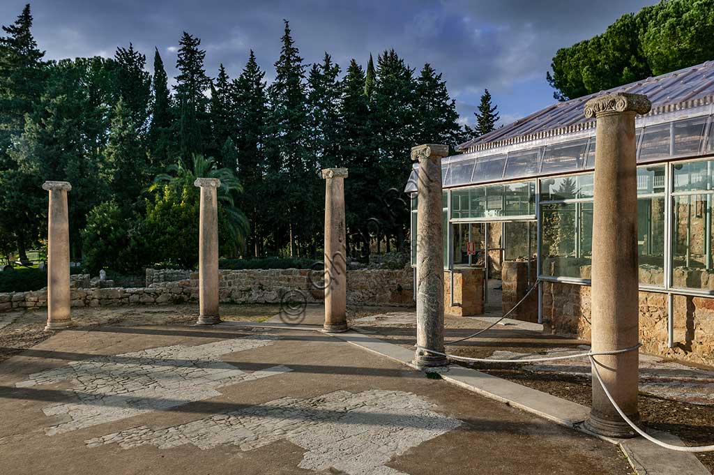 Piazza Armerina, Villa romana del Casale: veduta di colonne della villa, che probabilmente era palazzo imperiale urbano. Oggi è Patrimonio dell'umanità dell'UNESCO.