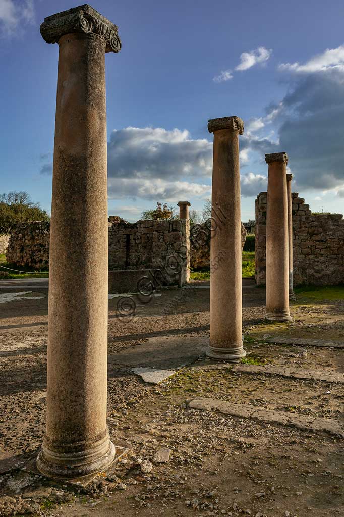 Piazza Armerina, Villa romana del Casale: veduta di colonne della villa, che probabilmente era palazzo imperiale urbano. Oggi è Patrimonio dell'umanità dell'UNESCO.