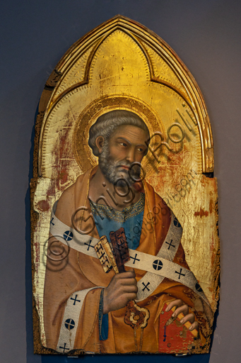 Orvieto, MODO (Museo dell'Opera del Duomo di Orvieto): La Vergine con il Bambino affiancata da Maddalena, S. Domenico, S. Pietro e S. Paolo, tempera, oro e foglia di argento su tavola, di Simone Martini, 1320-1. Particolaredi S. Pietro.