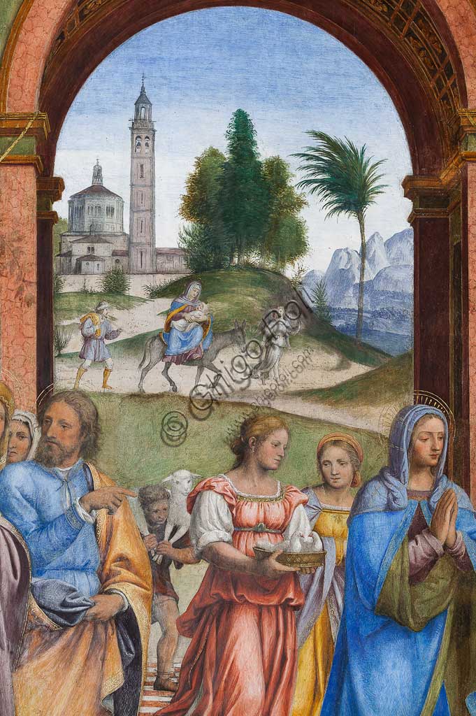 Saronno, Santuario della Beata Vergine dei Miracoli, Presbiterio (o Cappella Maggiore): "Presentazione di Gesù al Tempio", affresco di Bernardino Luini, 1525 - 1532. Particolare.