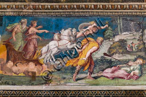 Roma, Villa Farnesina, Sala delle Prospettive: fregio superiore con scene mitologiche ispirate alle Metamorfosi di Ovidio.  Affreschi di Baldassarre Peruzzi (1517-8).  Particolare.Procri è sdraiata in terra morente con una lancia conficcata nel petto. A sinistra è raffigurato il carro di Aurora, in qualche modo responsabile della morte di Procri, avendo la dea instillato nella giovane la gelosia verso il suo amato Cefalo, di cui si era invaghita. Aurora è accompagnata da Titone, principe troiano e musico, rapito e sposato dalla dea, la quale chiese per lui a Giove l'immortalità, dimenticando di chiedere anche l'eterna giovinezza (nell’affresco è infatti raffigurato come un vecchio con una lunga barba bianca). Venere (Èspero?) precede in volo il carro, reggendo una stella.