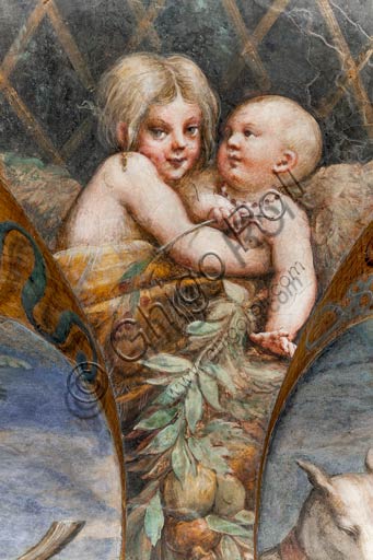 Parma, Fontanellato, Rocca Sanvitale, stanza (o stufetta) di Diana e Atteone: particolare di putto, dal ciclo di affreschi del Parmigianino (Girolamo Francesco Maria Mazzola) raffiguranti il mito di Diana e Atteone, tratto dalle Metamorfosi di Ovidio. La stanza, affrescata nel 1524, era probabilmente il bagno privato di Paola Gonzaga, moglie di Galeazzo Sanvitale.