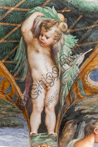  Parma, Fontanellato, Rocca Sanvitale, room of Diana and Actaeon: detail of a putto, from the cycle of frescoes by Parmigianino (Girolamo Francesco Maria Mazzola) depicting the myth of Diana and Actaeon, taken from Ovid's Metamorphoses. The room, frescoed in 1524, probably was the bathroom of Paola Gonzaga, wife of Galeazzo Sanvitale.