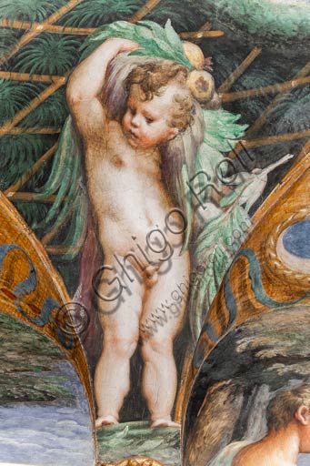 Parma, Fontanellato, Rocca Sanvitale, stanza (o stufetta) di Diana e Atteone: particolare di putto, dal ciclo di affreschi del Parmigianino (Girolamo Francesco Maria Mazzola) raffiguranti il mito di Diana e Atteone, tratto dalle Metamorfosi di Ovidio. La stanza, affrescata nel 1524, era probabilmente il bagno privato di Paola Gonzaga, moglie di Galeazzo Sanvitale.