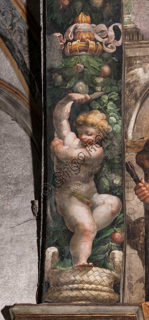 Parma, Chiesa di San Giovanni Evangelista: affresco del periodo giovanile di Girolamo Francesco M. Mazzola  (il Parmigianino) (circa 1523). Particolare con putto.